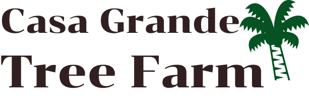 Casa Grande Palm Tree Farm